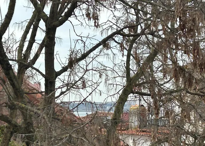 Se De I 아파트 리스본